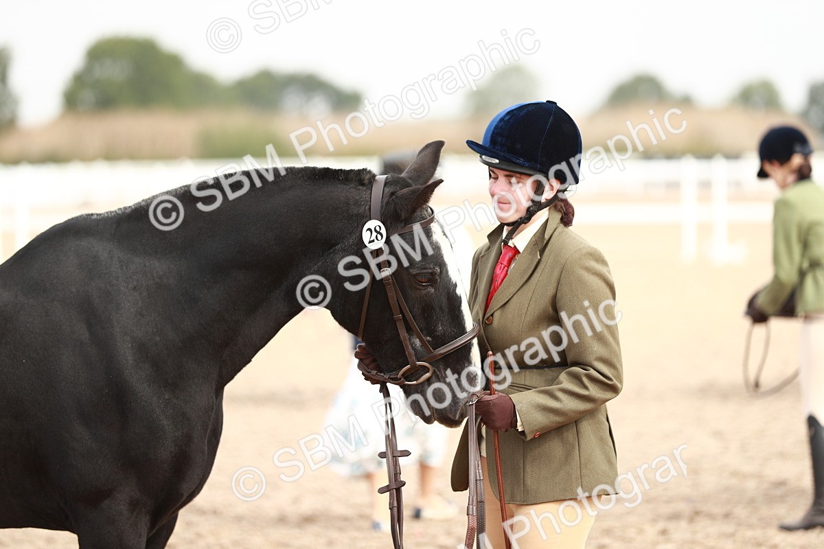 SBM_11879 - Class 206 IH Non Show Type Pony
