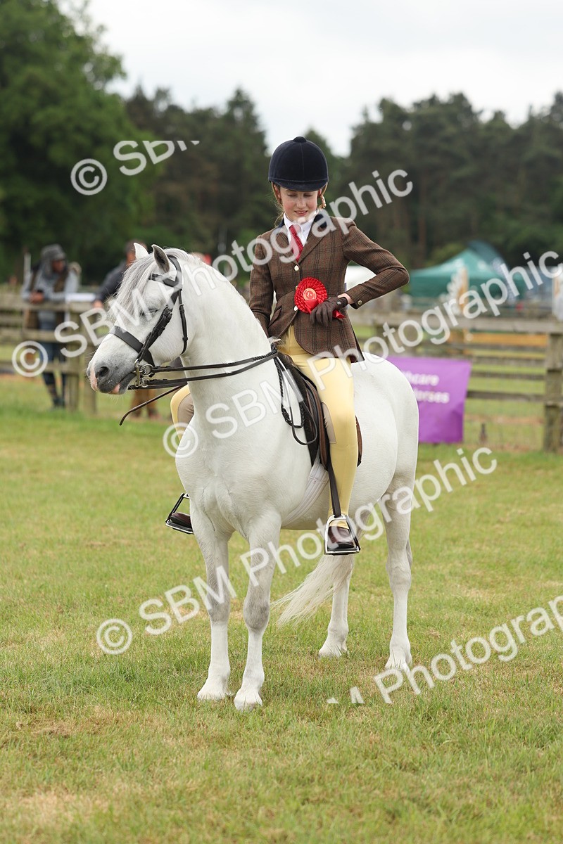 SBM_07135 - Class 76-77 - Ridden M&M Welsh Ponies