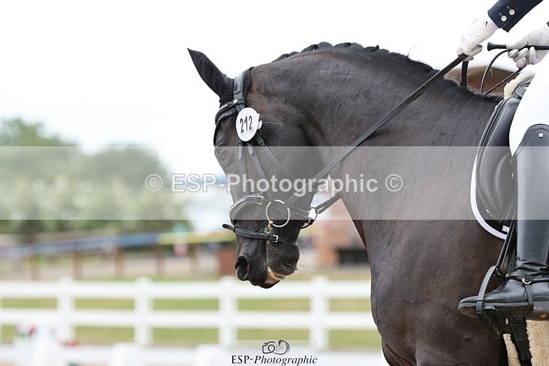 250622-115715-15127 - Cls 47 Novice 5, 11.30am to End