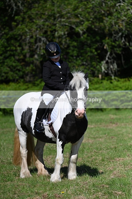 WJ7_0434 - Class 8 First Rally Pony