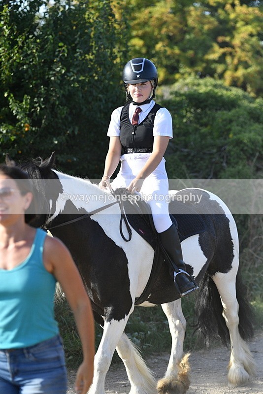 WJ5_5067 - Walk out with the hounds