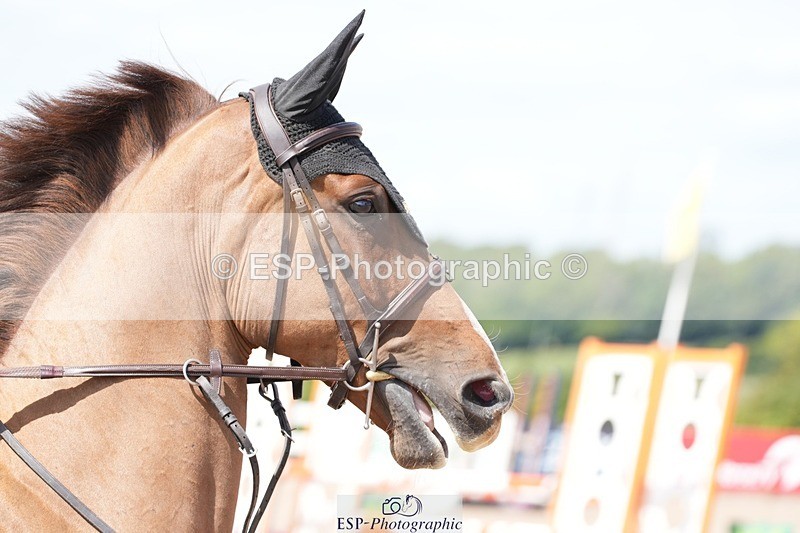 250802-115109-09717 - Cls 21 85cm Amateur Championship Qualifier