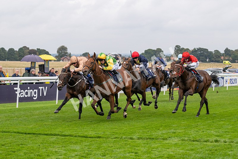 240924-Race 2-The Trickster-5934 - Race 2