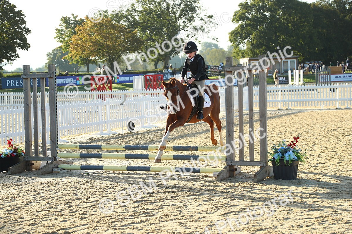 SBM_34892 - J5 - Junior Pony 50cm Championship