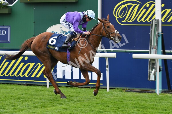 yr22052021r2-23 - Race 2 2.40pm William Hill Brontë Cup