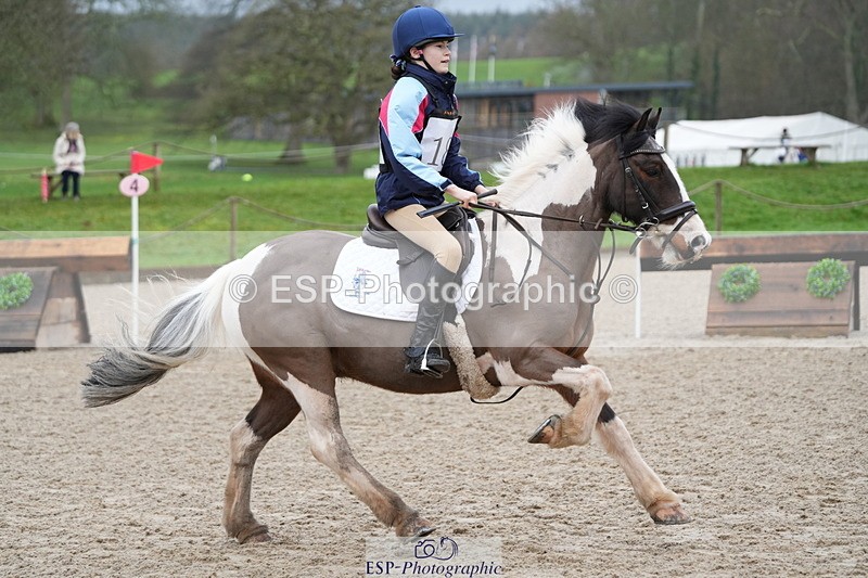 260301A-093724-01646 - NSEA 70-75cm