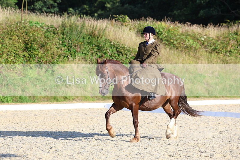 3E7A3820 - Class 3: Prelim 1 2024 Section A