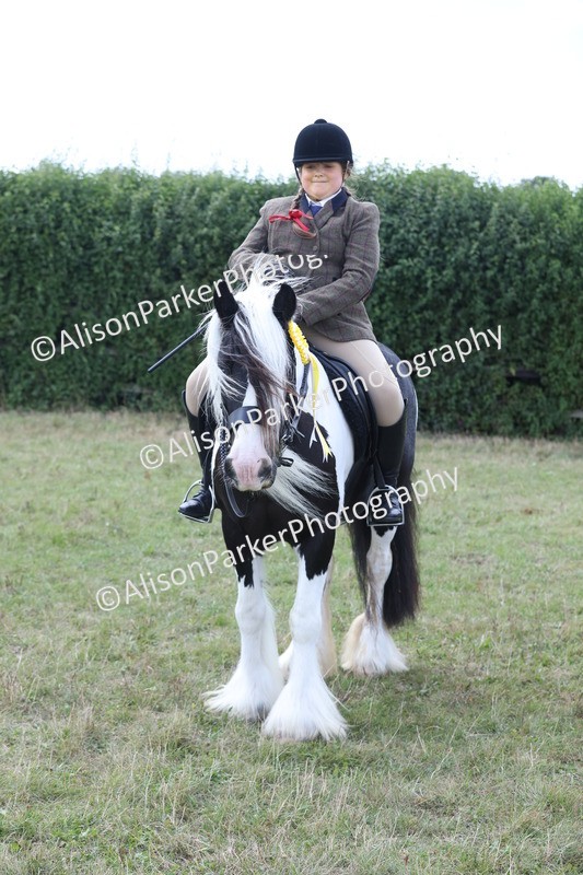 20250831-4356 - Class 20 - Ridden Coloured