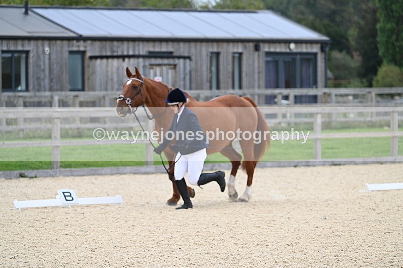 WJ7_1815 - Class 1 & Champs