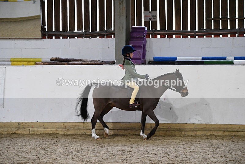 WJ5_7163 - Class 11 Ridden PC - RC Pony