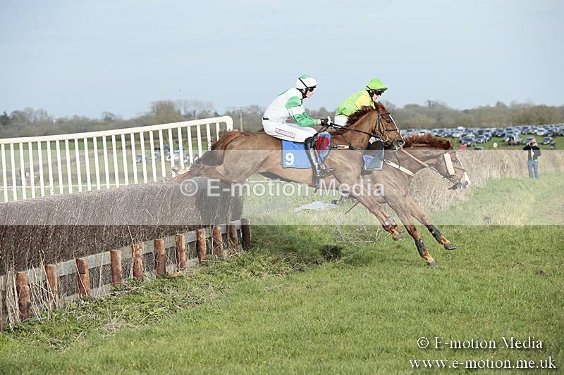 PtP 230319 471 - VWH Hunt Siddington Point-to-Point Racing 23/03/19