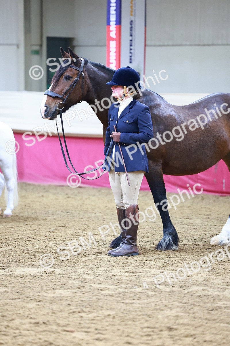 SBM_21807 - Class 901 - Supreme Final - IH  Diamond