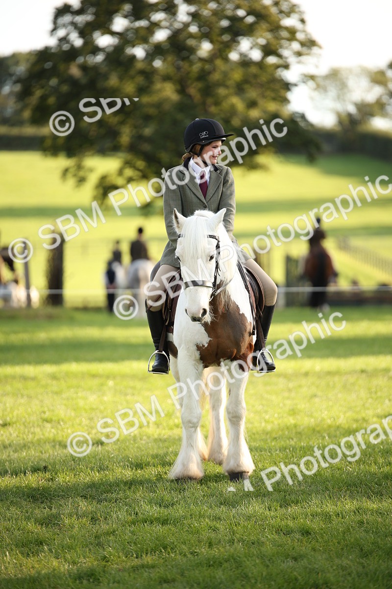 SBM_54414 - S27 - Mature Veteran - Ridden