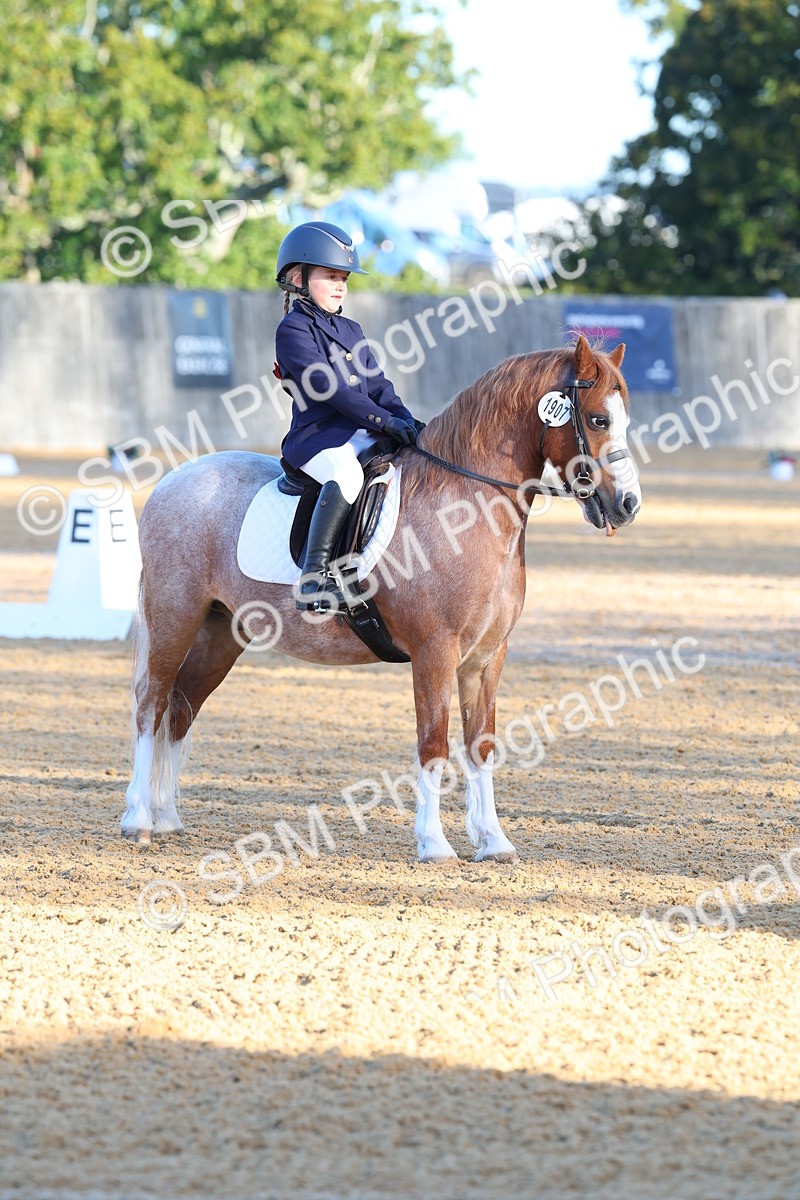 SBM_33492 - D26 - Test Starter Test 1