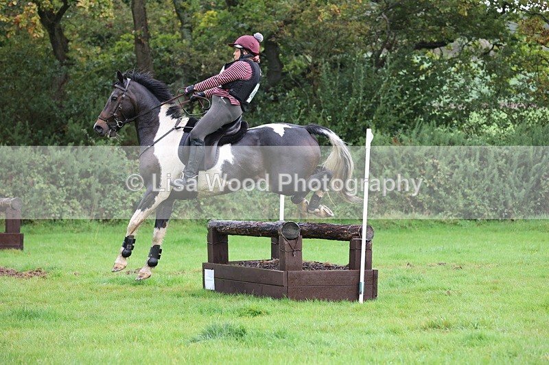 JPP_5409 - Class 4: 80cm: Crossed Logs