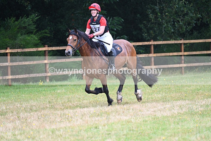 WJ7_5782 - 60cm Time 10:40 to 11:07