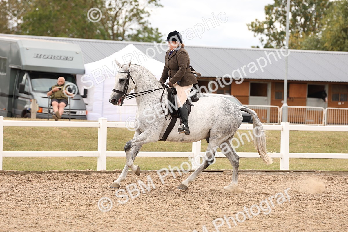 SBM_17248 - Class 213 - Ridden Hunter - Large