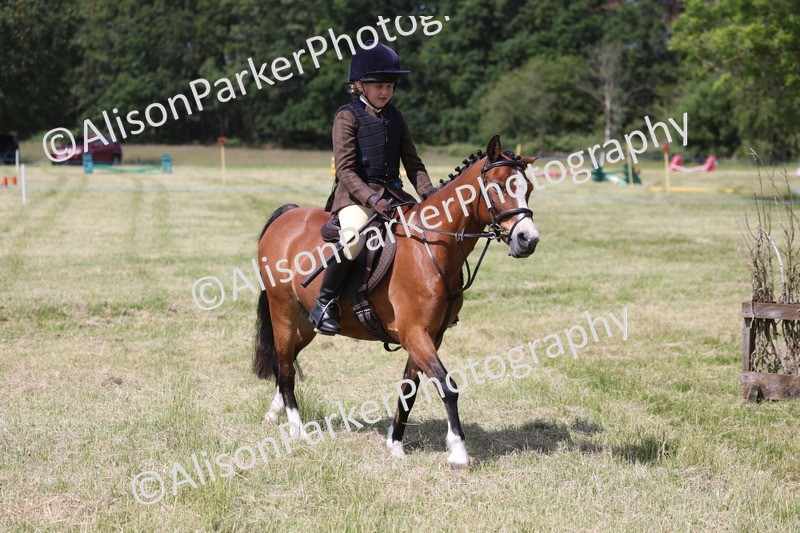20260614-1740 - Class 21 - Novice Working Hunter Pony