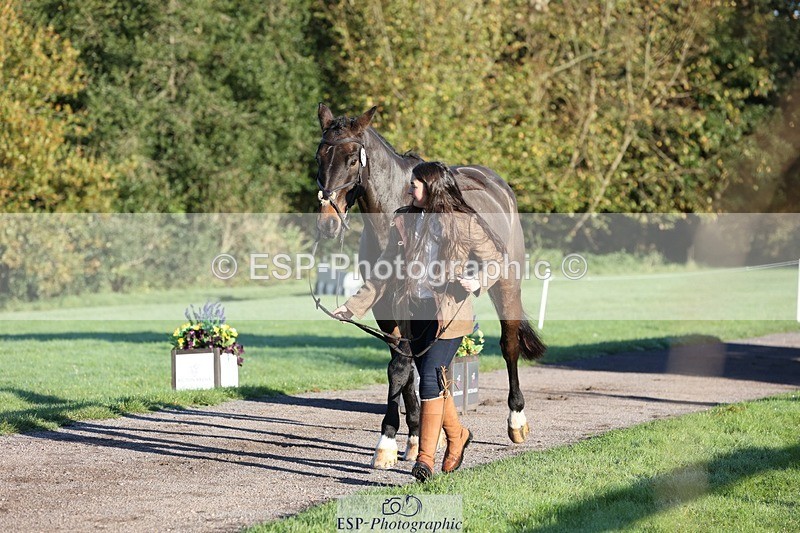 241027-084144-14746 - 377-Bethany.Hull-CARRICK.DIAMOND.OLIVER