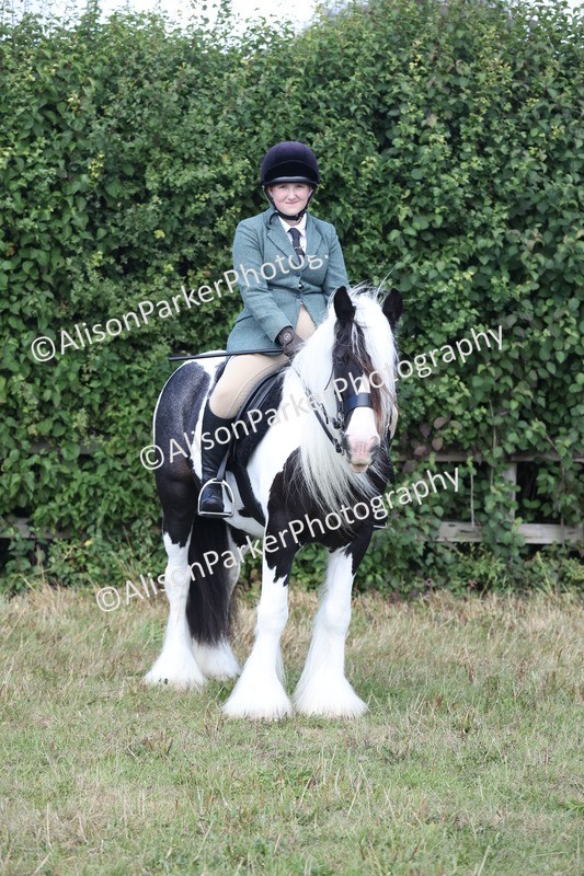 20250831-2453 - Class 16 - Family Pony