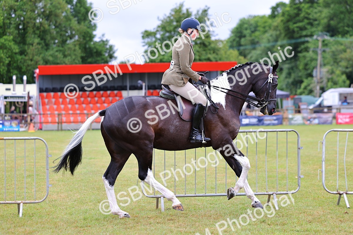 SBM_02497 - Class 9-11 Side Saddle including LIHS Rising Star Ladies Show Horse