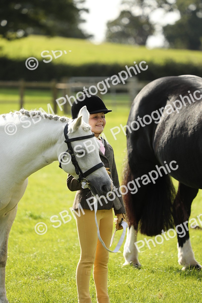 SBM_68572 - S40 - Junior Handler 9-12 Years