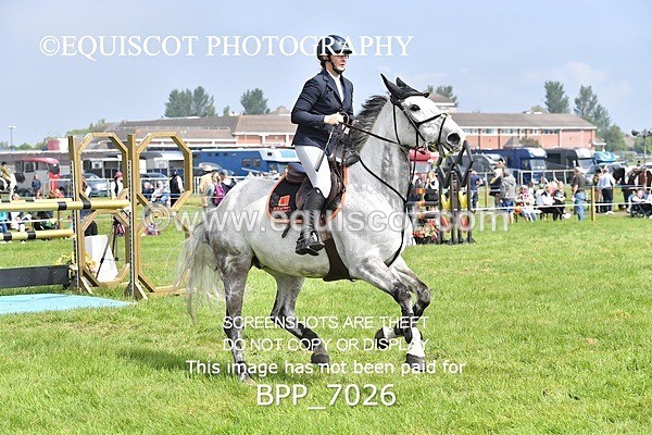 BPP_7026 - CLASS 3 RHS Fox Champ Qual (1.20m)