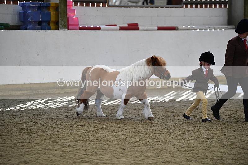 WJ5_4896 - Class 7 In hand coloured / odd coloured