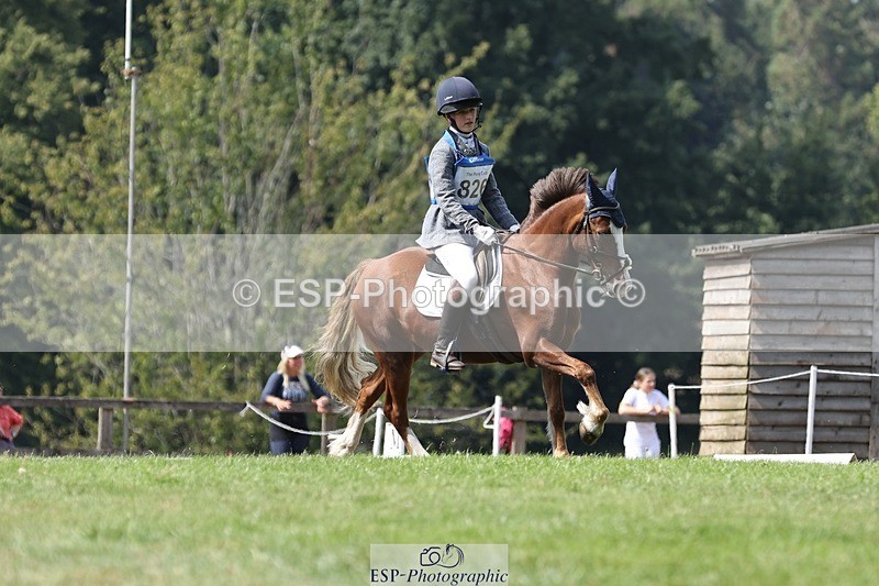 250823A-134338-31362 - Arena D