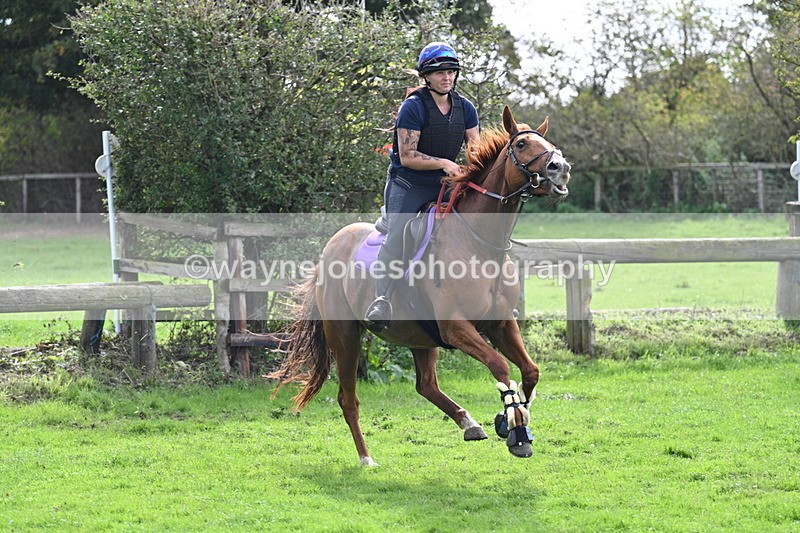 WJ7_9740 - Time 13:13 to 13:55