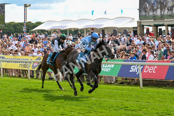 140625-Race 5-Egoli-3089 - Race 5 4.10pm Reg Griffin Appreciation EBFstallions.com Maiden Stakes