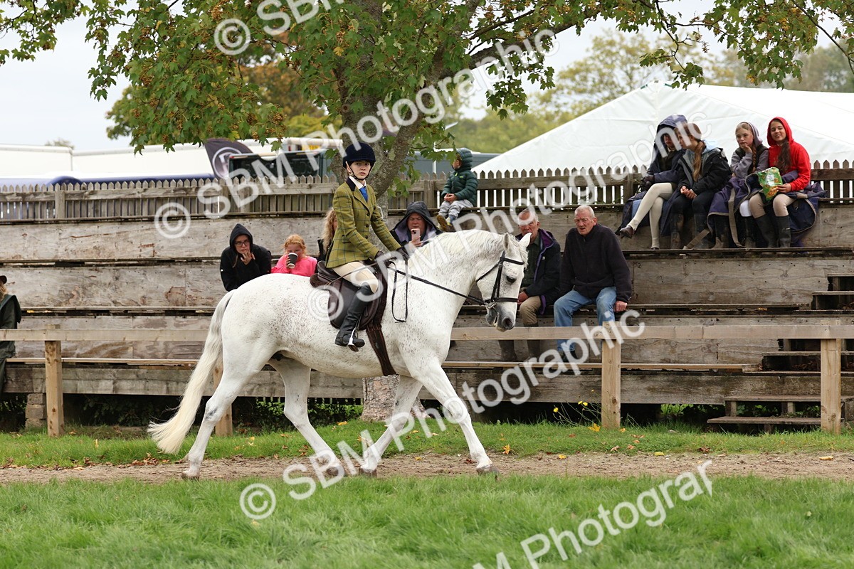 SBM_69567 - S62 - Mountain & Moorland Ridden Large Breeds