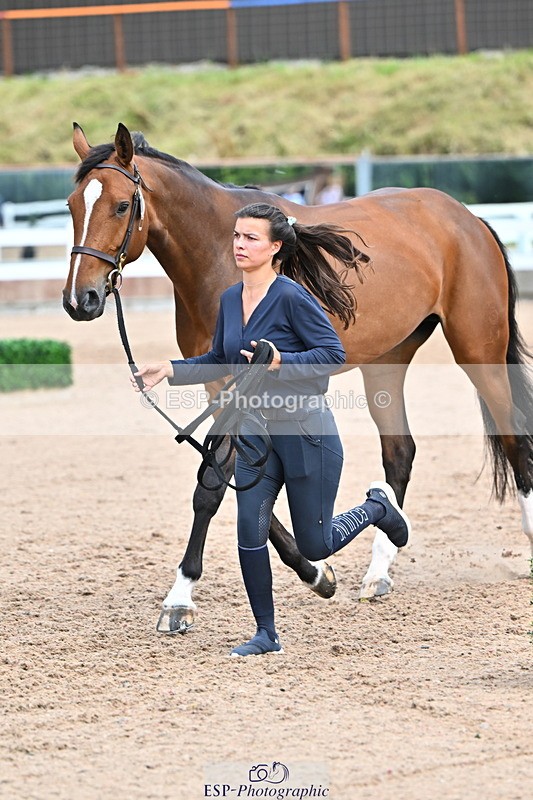 240718A-105321-01885 - Trot Up 1pm to 2pm