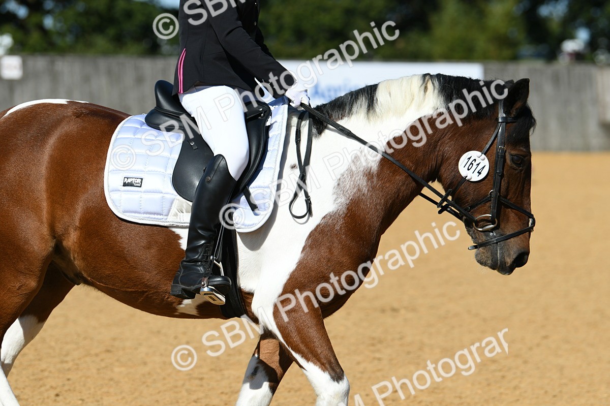 SBM_20584 - D13 - Grand Tour Championship - Prelim 12