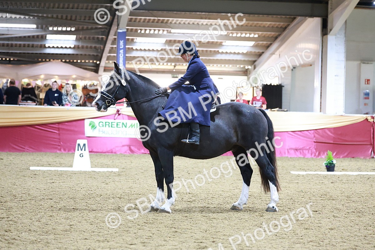 SBM_09940 - Class 61 - Dressage to Music
