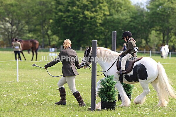 IMG_2194 - Working Hunter