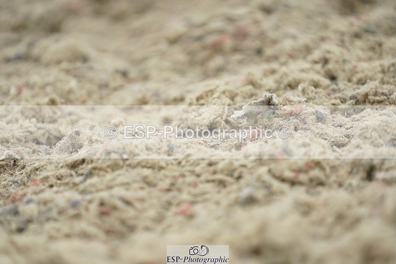 230708A-104938-00739 - Novice 30