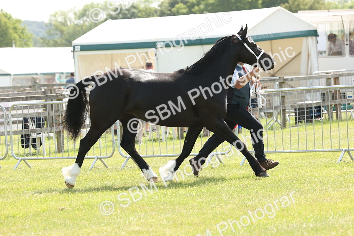 SBM_02372