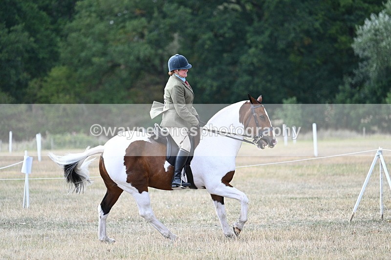 WJ7_7201 - Class 14 Ridden Coloured