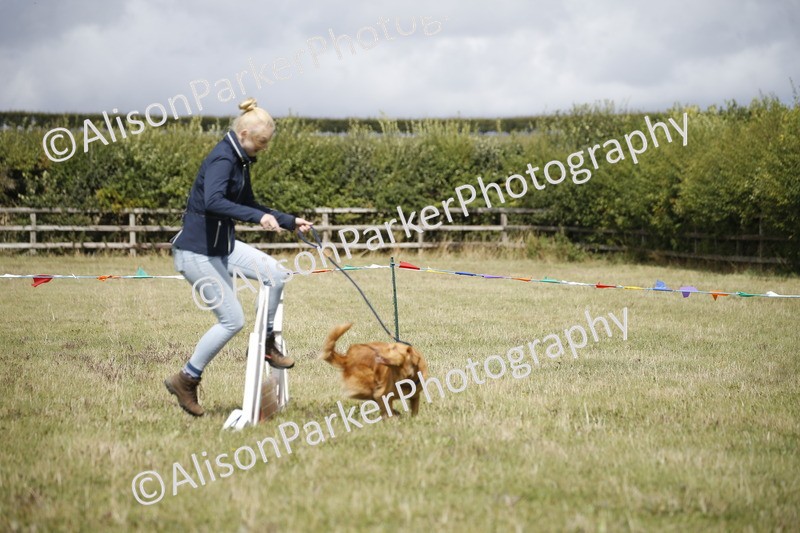 20250831-3891 - Dog Show