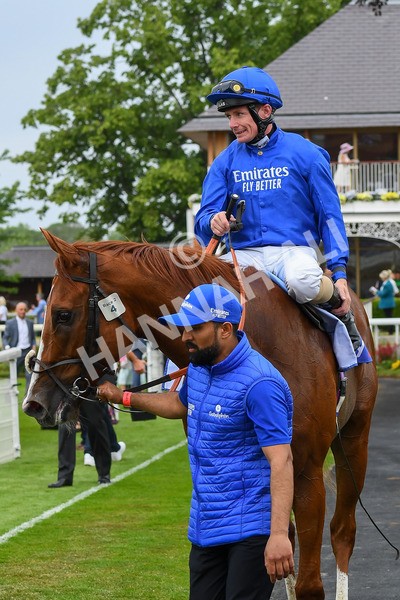 170623-Race 2-Wild Lion-0389 - Race 2 2.35pm Sky Bet Handicap
