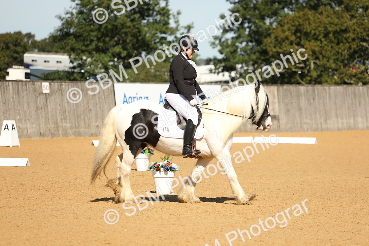 SBM_19633 - D10 - Small Tour Championship - Prelim 2