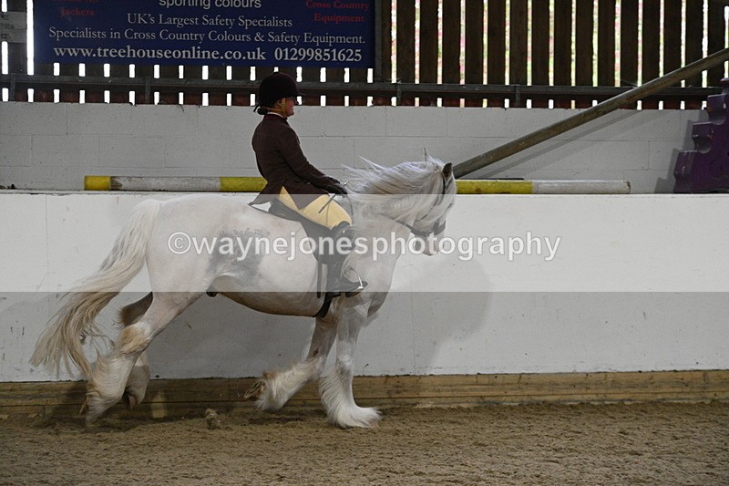 WJ7_4251 - Class 17 Ridden Cob