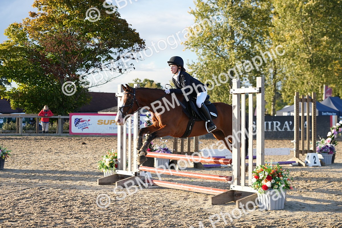 SBM_54116 - Supreme Championship 60cm 65cm