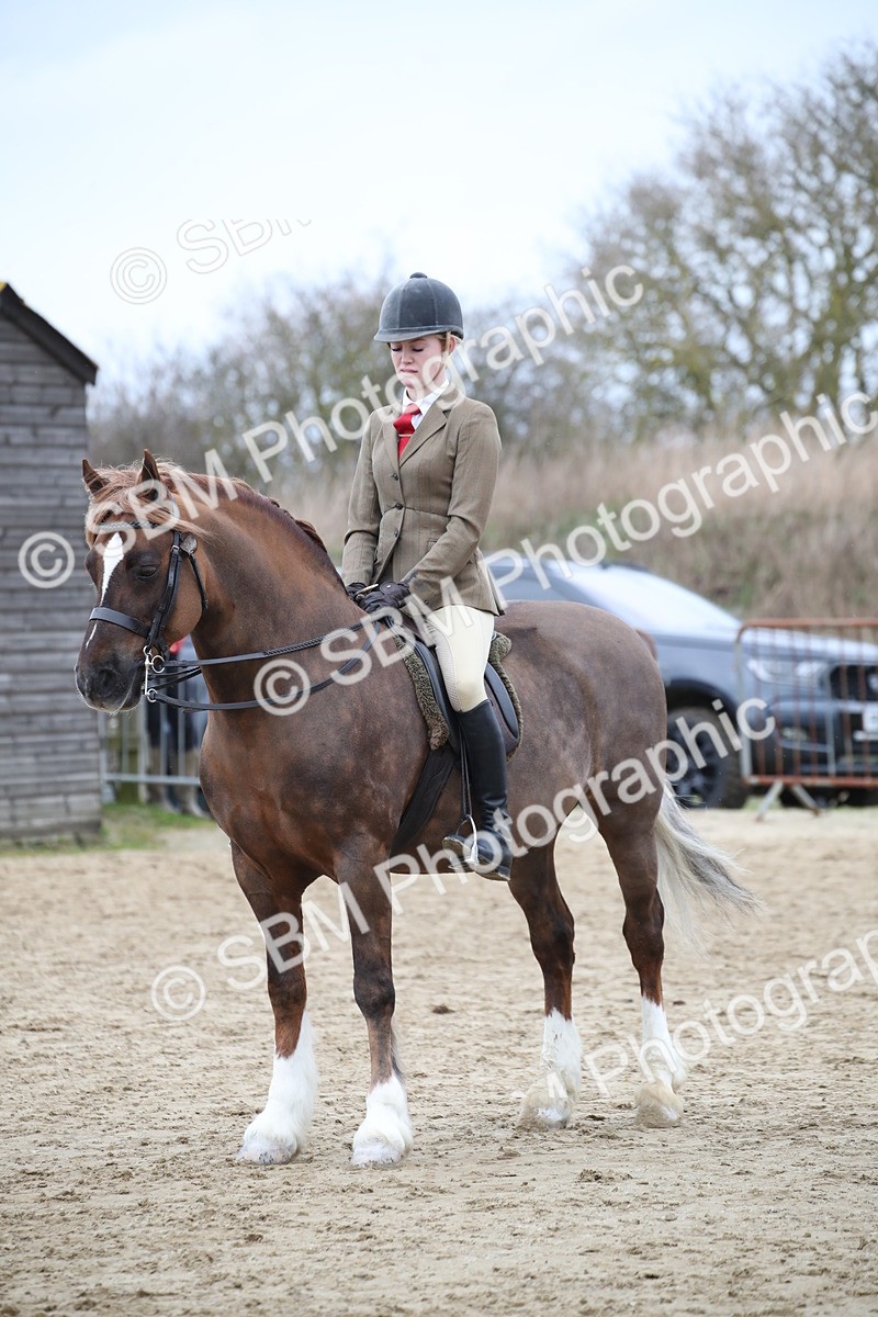 SBM_006432 - Class 10-13 - RIHS Small Large Breeds