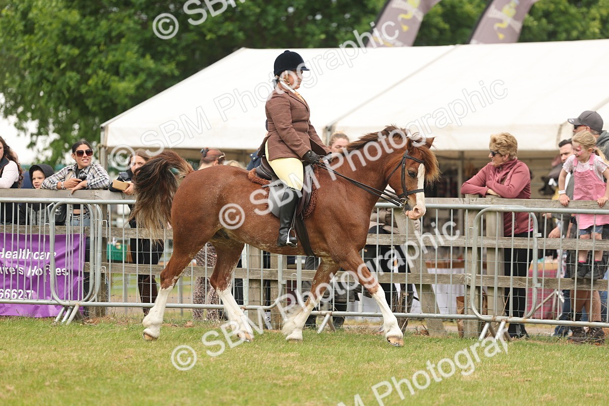 SBM_07157 - Class 76-77 - Ridden M&M Welsh Ponies