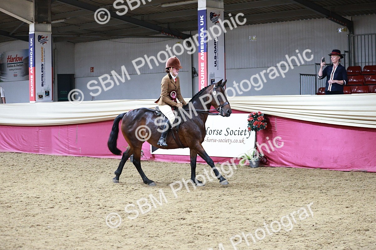 SBM_08393 - Class 11R - Regional Ridden Veteran