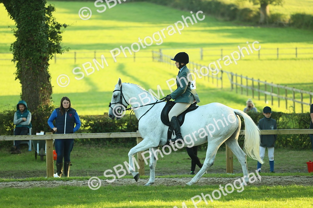 SBM_56413 - S14 - Riding Club Horse