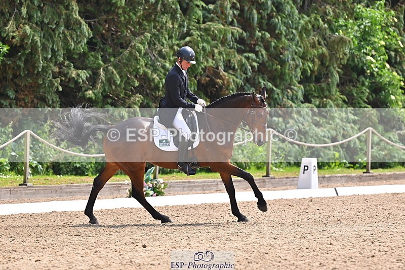 250523A-134326-07083 - B-355-Andrew.James-PRIMITIVE.PROPOSITION