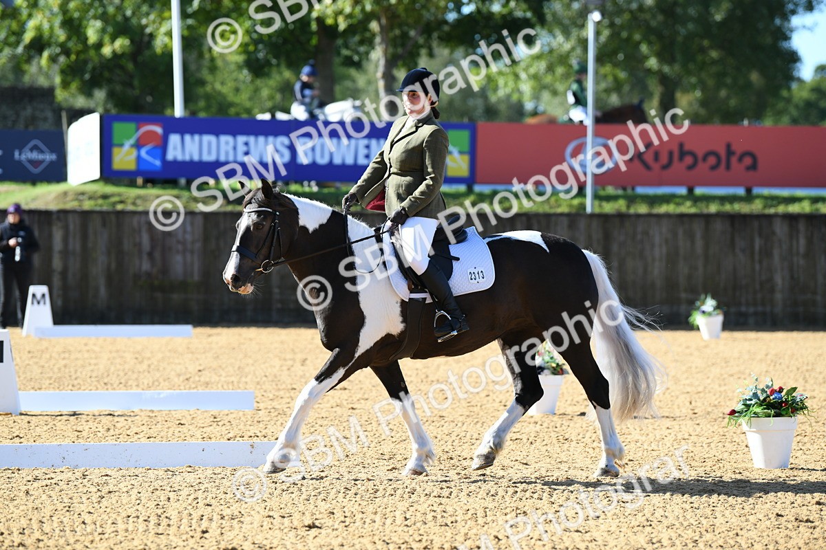 SBM_02730 - D7 Small Tour Championship Prelim 1
